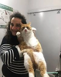 Soho-Pet Veteriner Kliniği