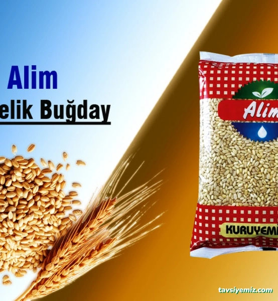 Söz Market Dolmabahçe Şube