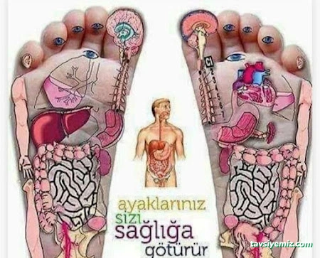 Spa Beauty Studyo - Sivas Masaj Salonu