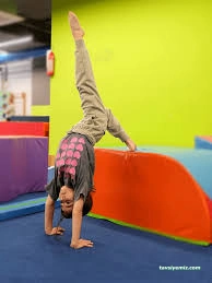 Sportsart Cimnastik Ve Sağlıklı Yaşam Merkezi