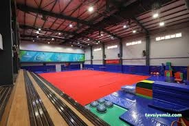 Sportsart Cimnastik Ve Sağlıklı Yaşam Merkezi