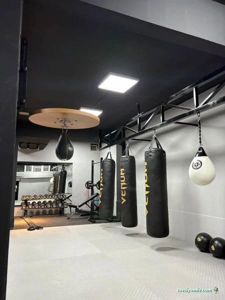 Submission Fight Academy