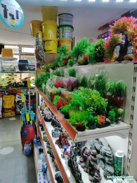 Sude Pet Shop