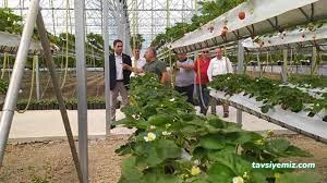 Şükrü Soydan Seracılık