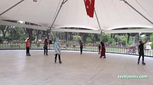 Sümer Park Paten Pisti