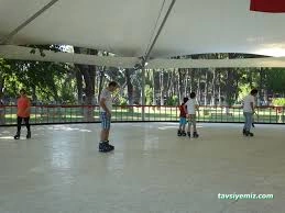 Sümer Park Paten Pisti