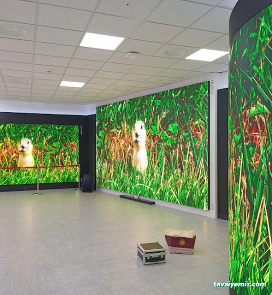 Süpaksaray Lg Servis- Süper Elektronikr Elektronik