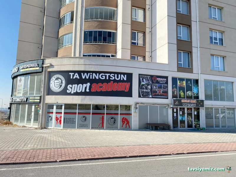 Ta Wingtsun Kayseri
