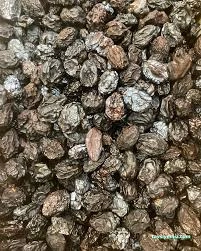 Tadal Kuruyemiş Toptan Ve Perakende Adıyaman