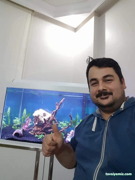 Tahtakale Akvaryum Petshop