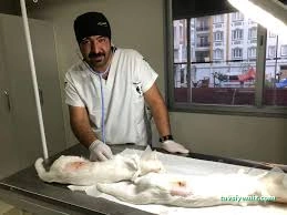 Tamara Pet Veteriner Kliniği