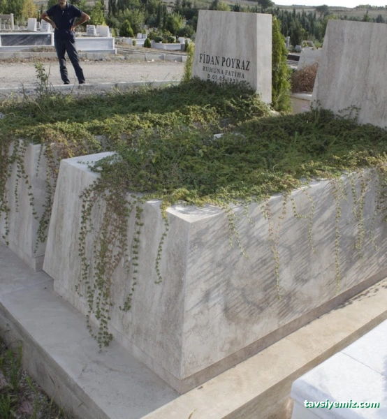 Taşyapı Mermer & Granit