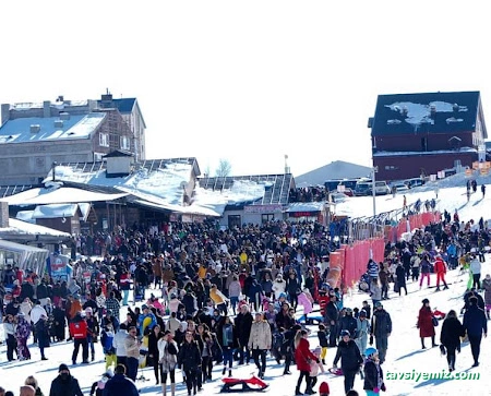 Tatil71 Tourism Travel Agency