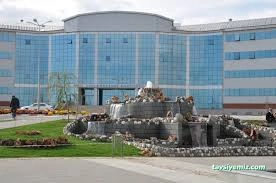 T.c. Bingöl Üniversitesi