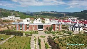 T.c. Bingöl Üniversitesi