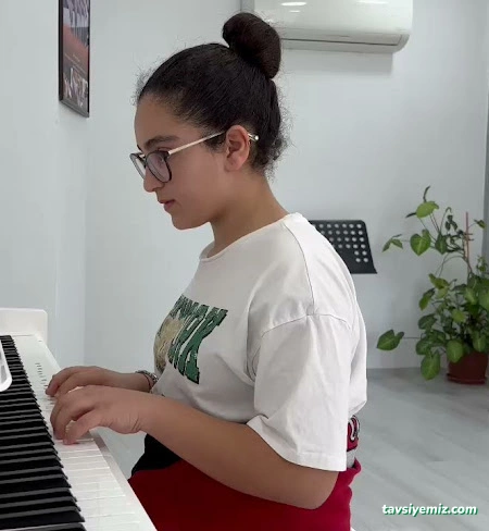 T.c. M.e.b. Nova Müzik Akademi