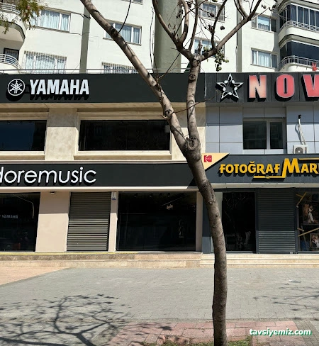 T.c. M.e.b. Nova Müzik Akademi