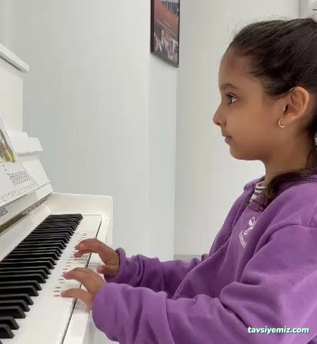 T.c. M.e.b. Nova Müzik Akademi