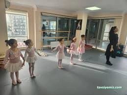 T.c. Meb Özel Opera Sanat Akademi