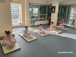 T.c. Meb Özel Opera Sanat Akademi