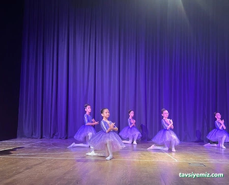 T.c M.e.b Özel Senkron Müzik Ve Sanat Kursu