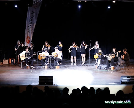 T.c M.e.b Özel Senkron Müzik Ve Sanat Kursu