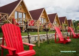 Te Ora Bağ Evi Bungalov