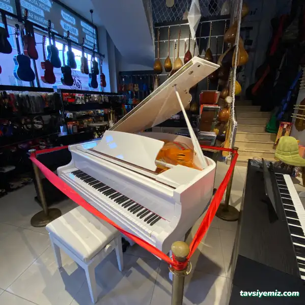 Tekin Müzik Akademi