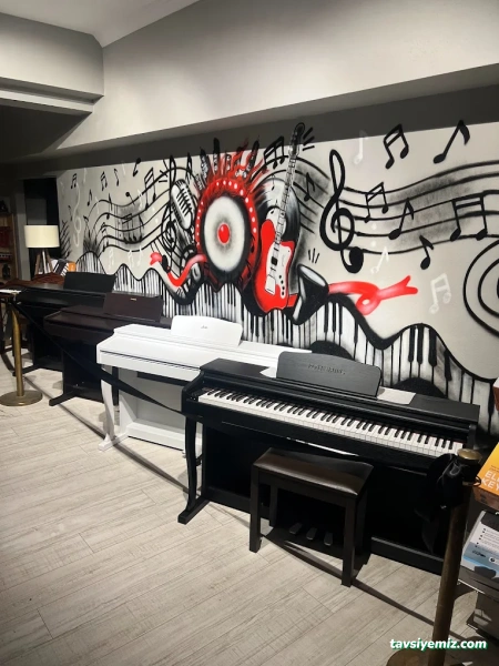 Tekin Müzik Akademi