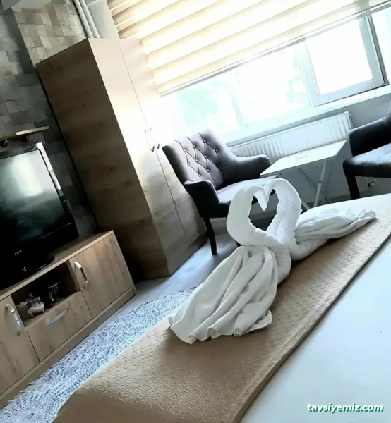 Tekirdağ Merkez Apart Hotel : Takıntı