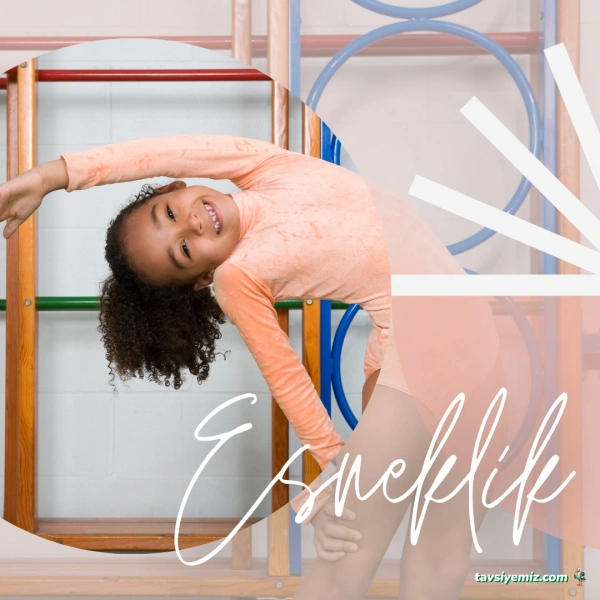 Tekirdağ Olimpik Cimnastik Ve Spor Akademisi