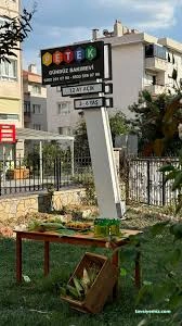 Tekirdağ Özel Petek Kreş