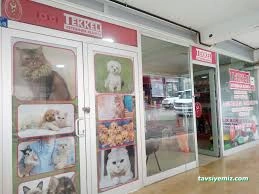 Tekkeli Veteriner Kliniği