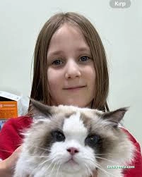 Tekkeli Veteriner Kliniği