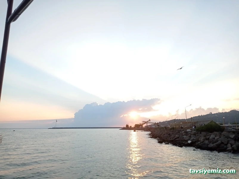 Tekne Kiralama İskelesi