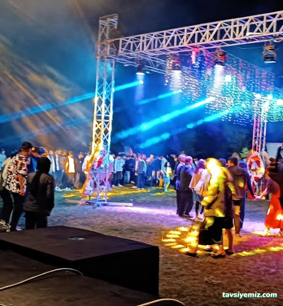 Temusan Elektronik Ses Işık Sahne Sistemleri Ltd. Şti.