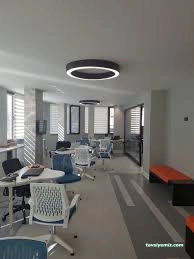 Teol Dil Okulları Meydan Şubesi