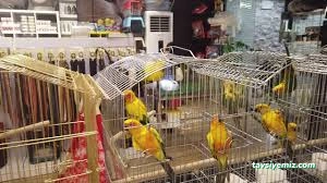 Tetra Pet Shop