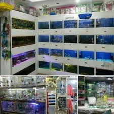 Tetra Pet Shop