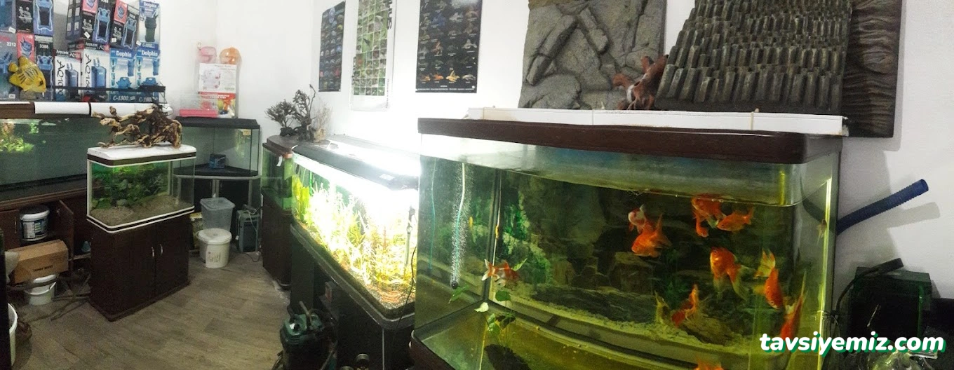 Tez Akvaryum(Pet Shop) & Sportif Av Malzemeleri