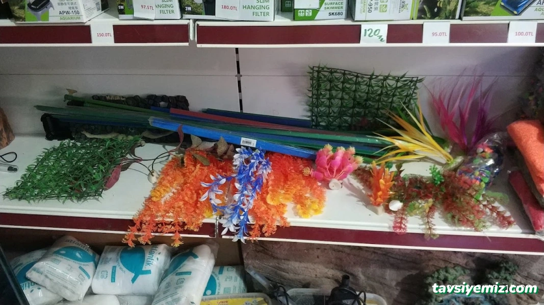 Tez Akvaryum(Pet Shop) & Sportif Av Malzemeleri