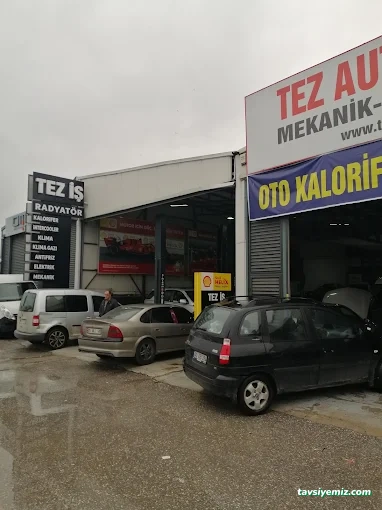 Teziş Oto Radyatör