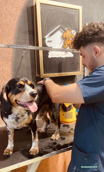 The Haır Doctor Butik Erkek Kuaförü