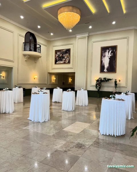 The Vine Organizasyon