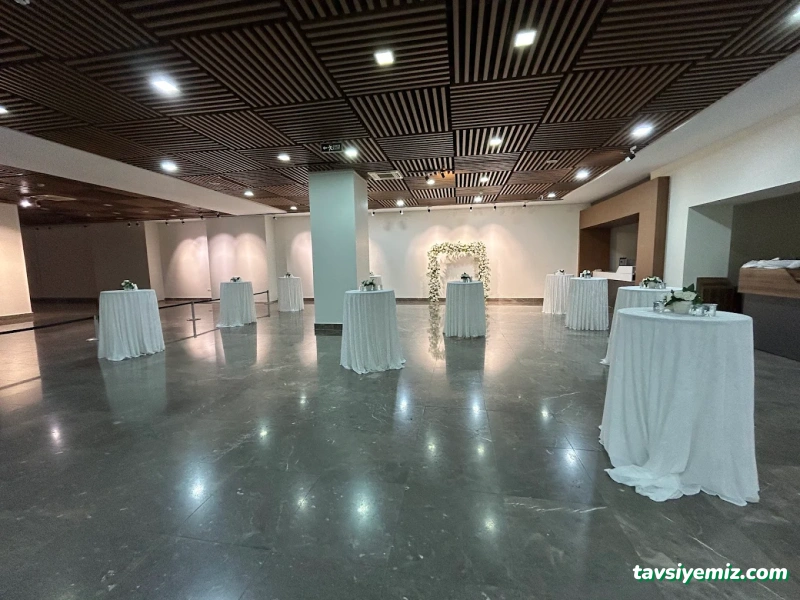 The Vine Organizasyon