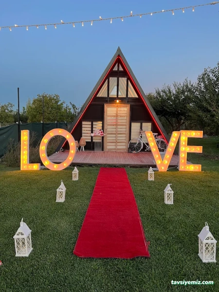 The Vine Organizasyon