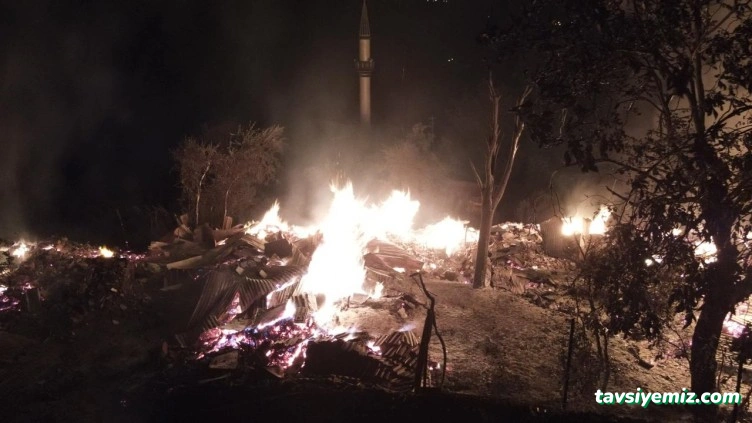 Thega Korku Evi Kastamonu