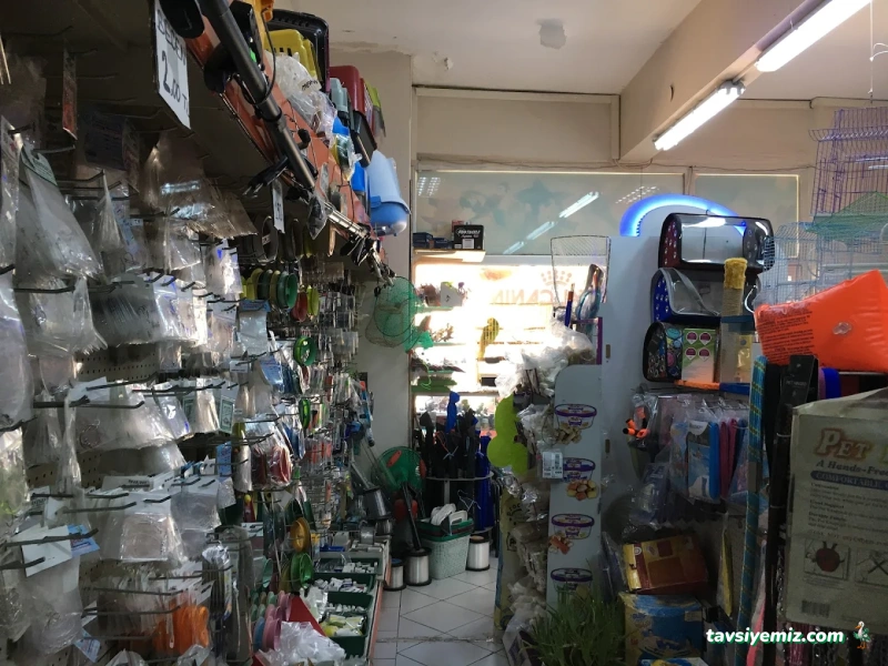 Tırtıl Pet Shop