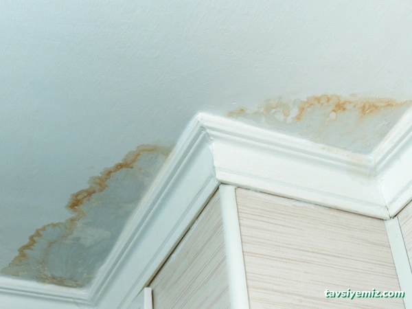 Tokat Kameralı Su Kaçağı Tespiti