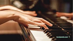 Tokat Serenad Müzik